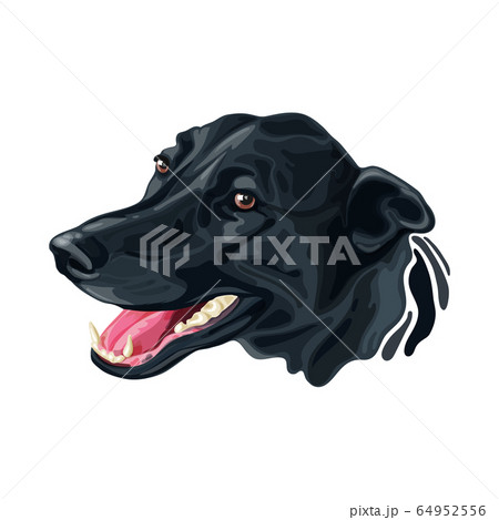 黒い犬のキャラクターの写真素材