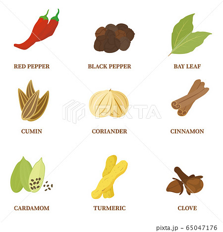 キーマカレーのイラスト素材