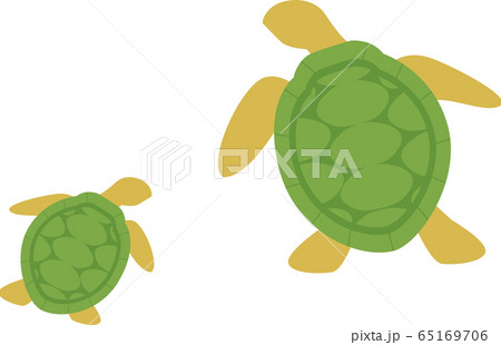親子亀 亀 親子 カメのイラスト素材 親子亀 亀 親子 カメのイラスト素材