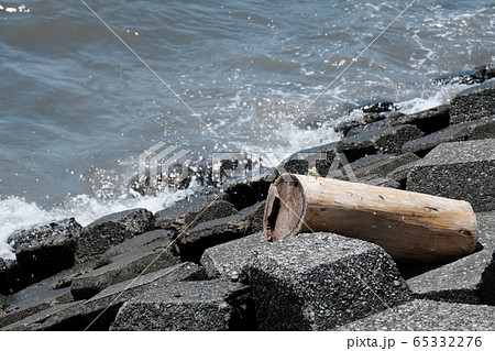 木 海岸 テトラポット 流木の写真素材