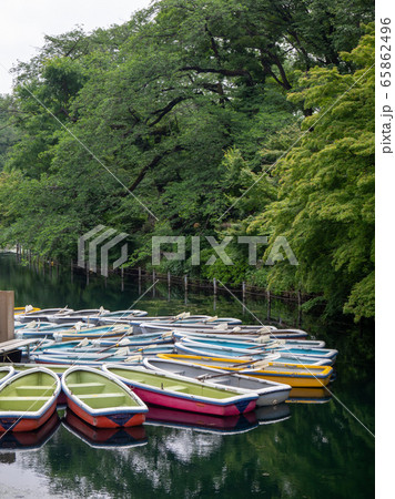 公園 手漕ぎボート 東京都 池 井の頭池 井の頭公園 井の頭恩賜公園 水の写真素材