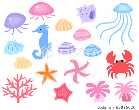 海の生き物のイラスト素材