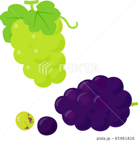 ピオーネのイラスト素材