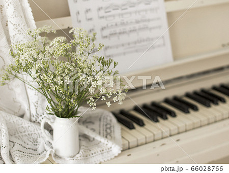 グランドピアノ 花束 花 植物の写真素材