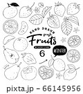 イラスト素材 おしゃれでシンプルなフルーツペン画手書き6 冬の果物のイラスト素材