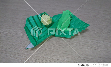 折り紙 葉っぱ カエル アマガエルの写真素材