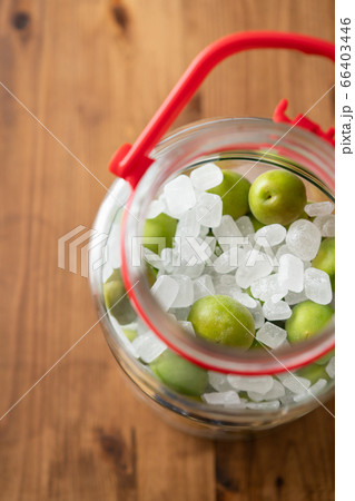 梅シロップの写真素材