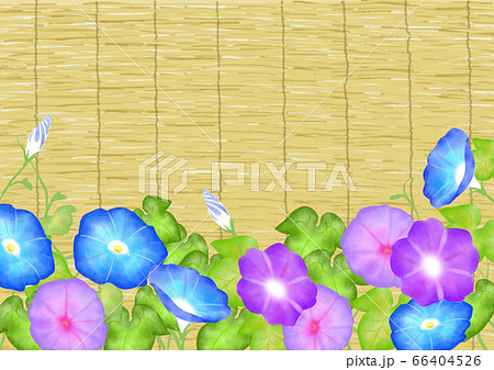 簾 朝顔 夏 和風イメージのイラスト素材