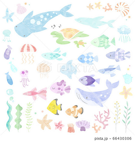 水彩 かわいい 魚 海のイラスト素材