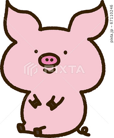 豚 子豚 正面 動物のイラスト素材