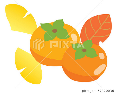 柿の葉のイラスト素材