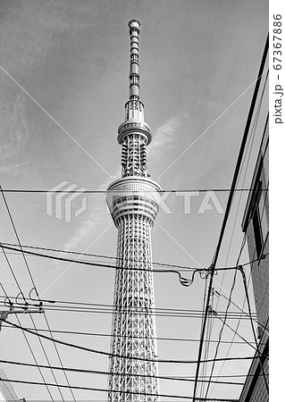 東京 スカイツリー モノクロの写真素材