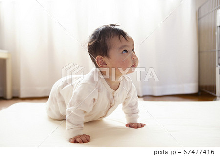 四つん這い 赤ちゃんの写真素材