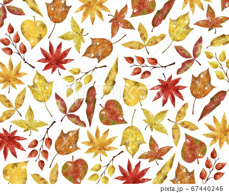 落ち葉 枯れ葉 秋 リアルのイラスト素材