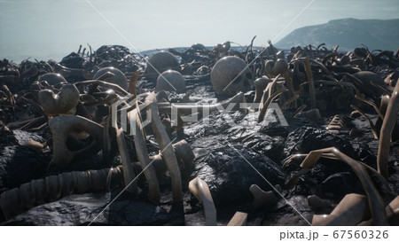 バックグラウンド 背景 戦場 煙の写真素材