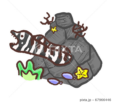ウツボのイラスト素材