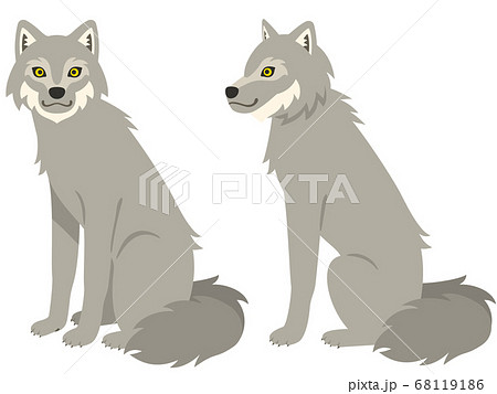 狼 横顔 オオカミのイラスト素材