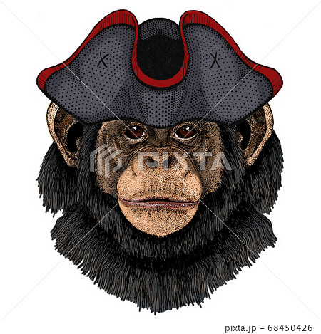 猿の顔のイラスト素材