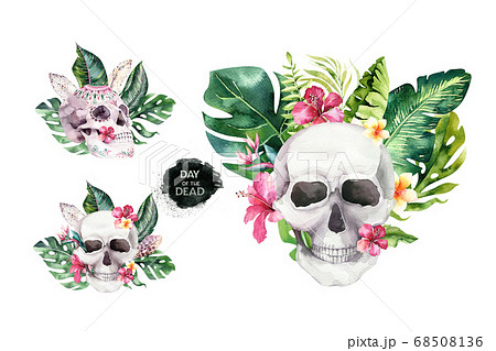 Dead Leaves Fallen Leaves Dried Leaves Illustrations