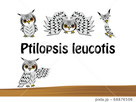 コノハズクのイラスト素材