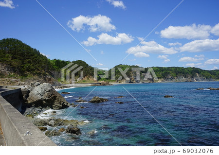 岩 海 ワカメ 海藻の写真素材