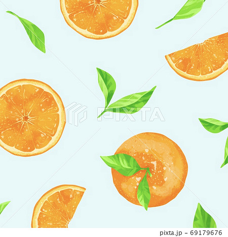 カット 柑橘類 断面 みかんのイラスト素材