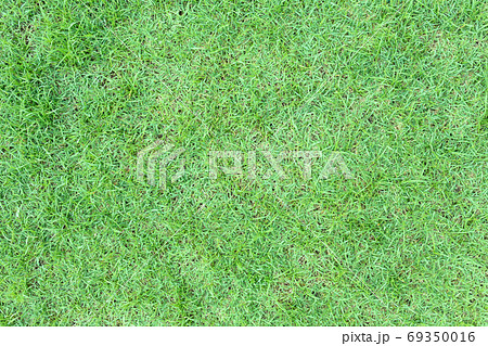 芝生 シームレス テクスチャ 地面の写真素材
