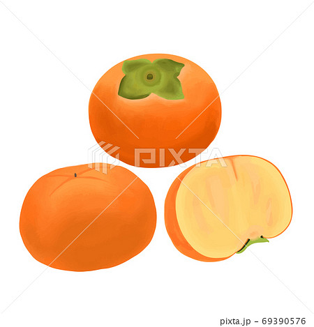 柿の木のイラスト素材