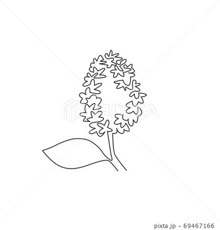 ライラックのイラスト素材