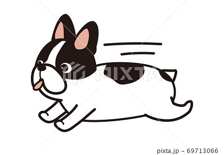 フレンチブルドッグ ブルドッグ のイラスト素材集 ピクスタ