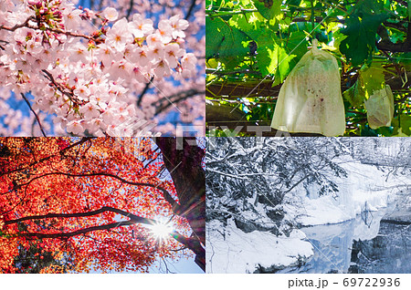 植物 花 四季 春夏秋冬の写真素材 - PIXTA