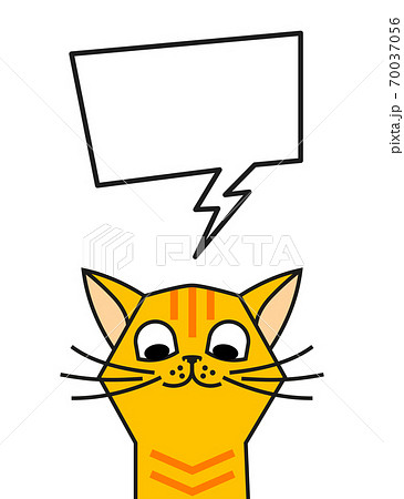 猫 吹き出し 動物 イラスト 面白い ひょうきん マンガ 台詞の写真素材