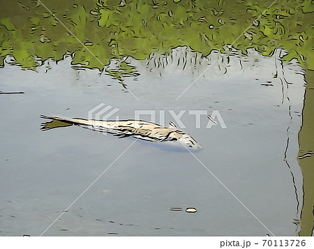 汚い川 水面の写真素材