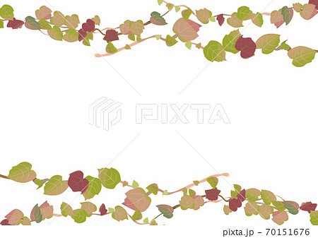 つる つた 蔓 蔦 のイラスト素材集 ピクスタ