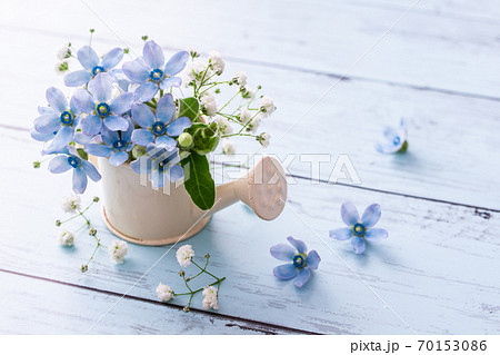 ブルースター フラワーアレンジメントの写真素材