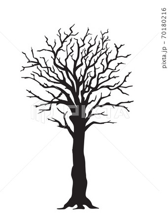 木の根っこ 木 樹木 モノクロのイラスト素材