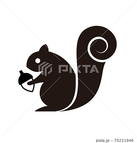リス イラスト シルエット 白バックの写真素材