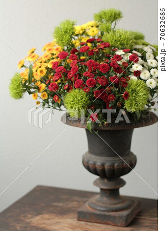 カリメロ スプレー菊 花の写真素材