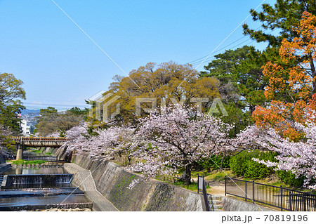 神戸川土手の写真素材