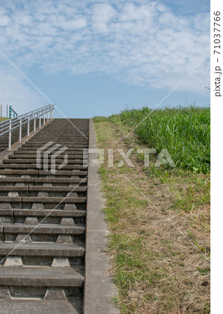 階段 雑草 土手 河川敷の写真素材