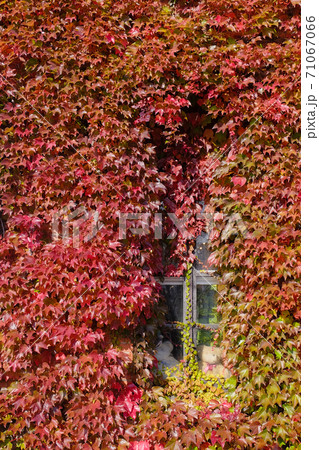 北海道的照片素材集