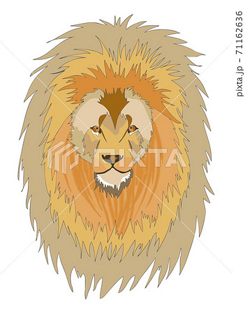 ライオン 獅子 百獣の王 吠えるのイラスト素材