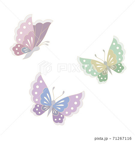 きれい 美しい 綺麗 蝶のイラスト素材