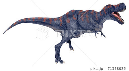 肉食恐竜のイラスト素材