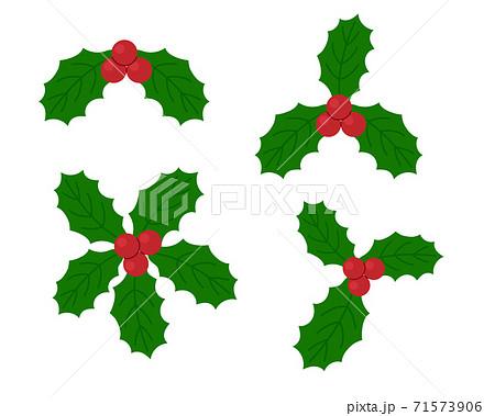 柊のイラスト素材