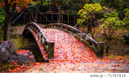 浜松城庭園橋の紅葉の写真素材