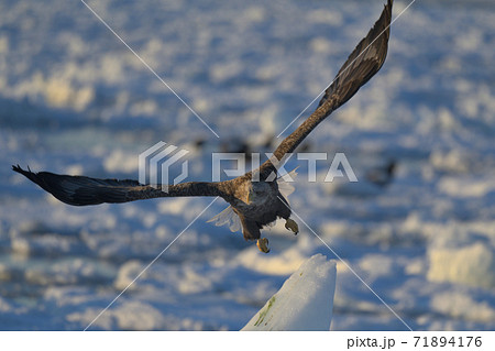 氷のテクスチャ素材 ピクスタ