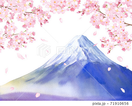 桜 富士山 春 桜吹雪のイラスト素材