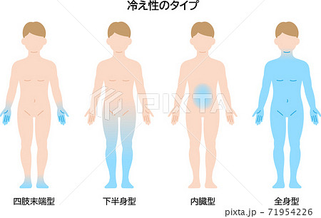 血液循環のイラスト素材