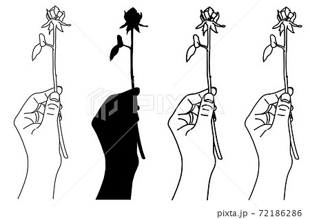 花 バラ 白黒 薔薇のイラスト素材